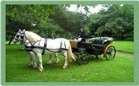 Chauffeurs. carriage, transport