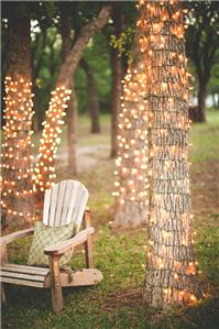 Decor & Event Styling. Outdoor lights look beautiful in crisper weather.