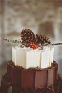 Decor & Event Styling. Pine cones and berries, a very autumn wedding cake.