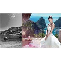 Alessandro Angelozzi 89 -  Designer Wedding Dresses|Compelling Evening Dresses|Colorful Prom Dresses