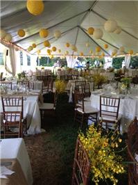 Decor & Event Styling. marquee
