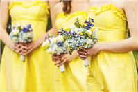 Attire. bridesmaids, yellow