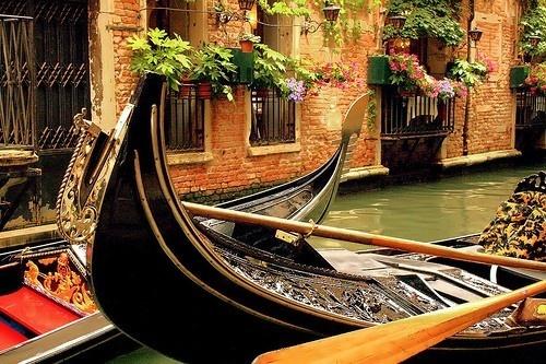 Venice Honeymoon