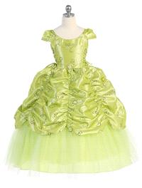 https://www.paraprinting.com/green/3523-lime-taffeta-embroidered-cinderella-dress-style-d596.html