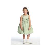 https://www.paraprinting.com/green/2493-mint-flower-girl-dress-taffeta-crinkled-skirt-style-d2470.ht