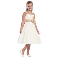 https://www.paraprinting.com/ivory/2947-ivory-champagne-satin-a-line-dress-with-satin-roughing-waist
