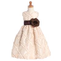 Blossom Blush Pink Sleeveless Taffeta Ribbon Dress w/ Detachable Sash & Flower Style: BL208 - Charmi